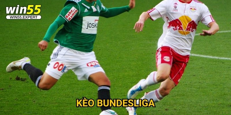 Kèo Bundesliga Win55 hot - Tỷ lệ siêu chuẩn xác