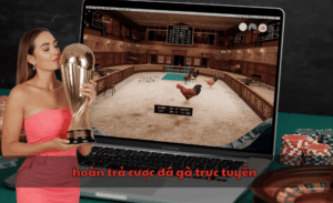 hoàn trả cược đá gà trực tuyến